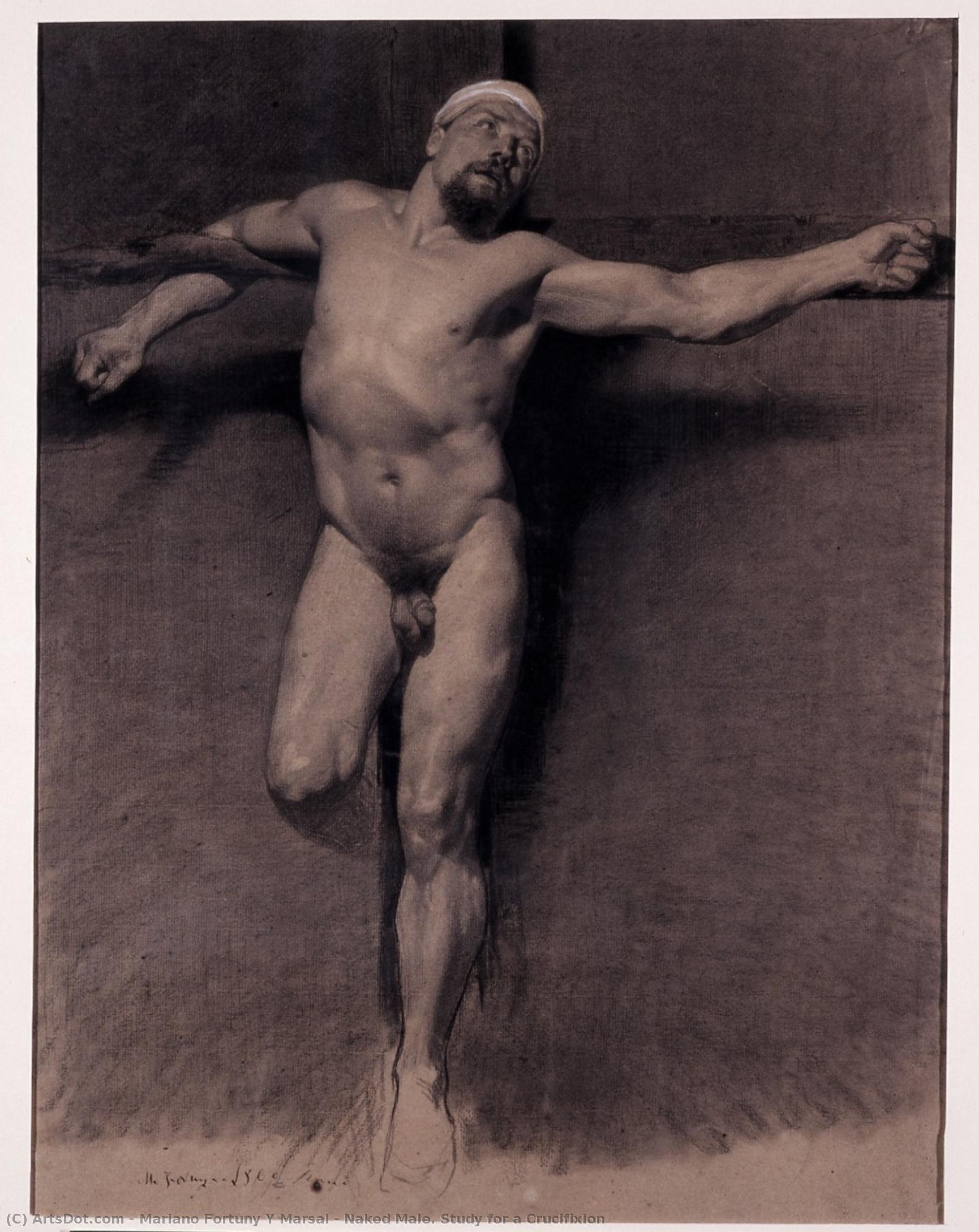 Naked Male. Study For A Crucifixion — Mariano Fortuny Y Marsal