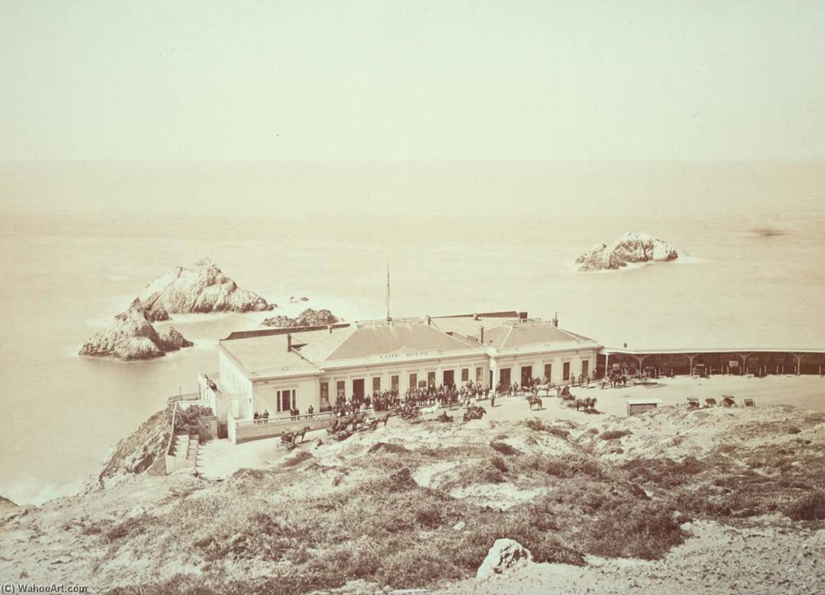 Untitled (aqtdjv) — Carleton Watkins