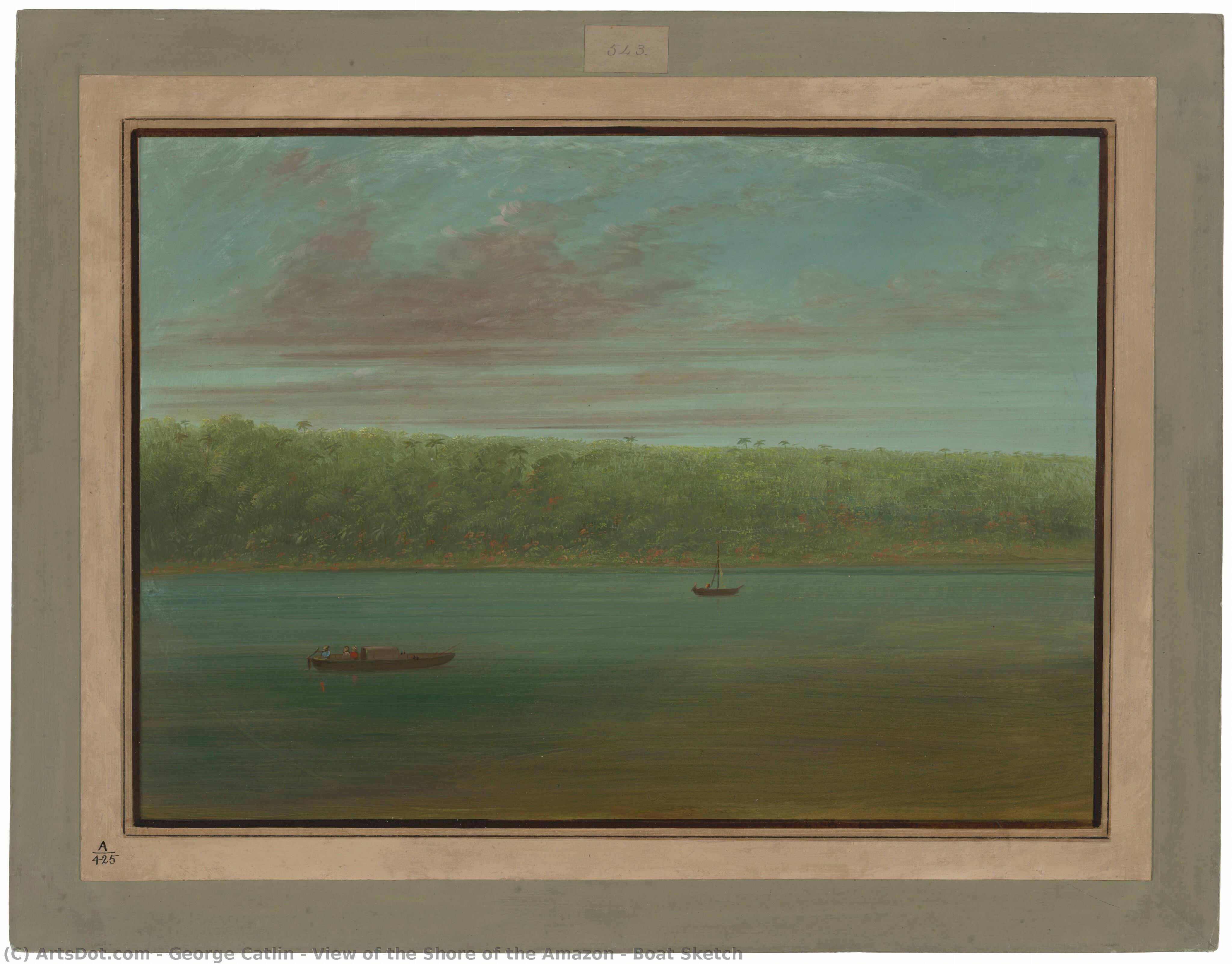 View Of The Shore Of The Amazon - Boat Sketch — George Catlin