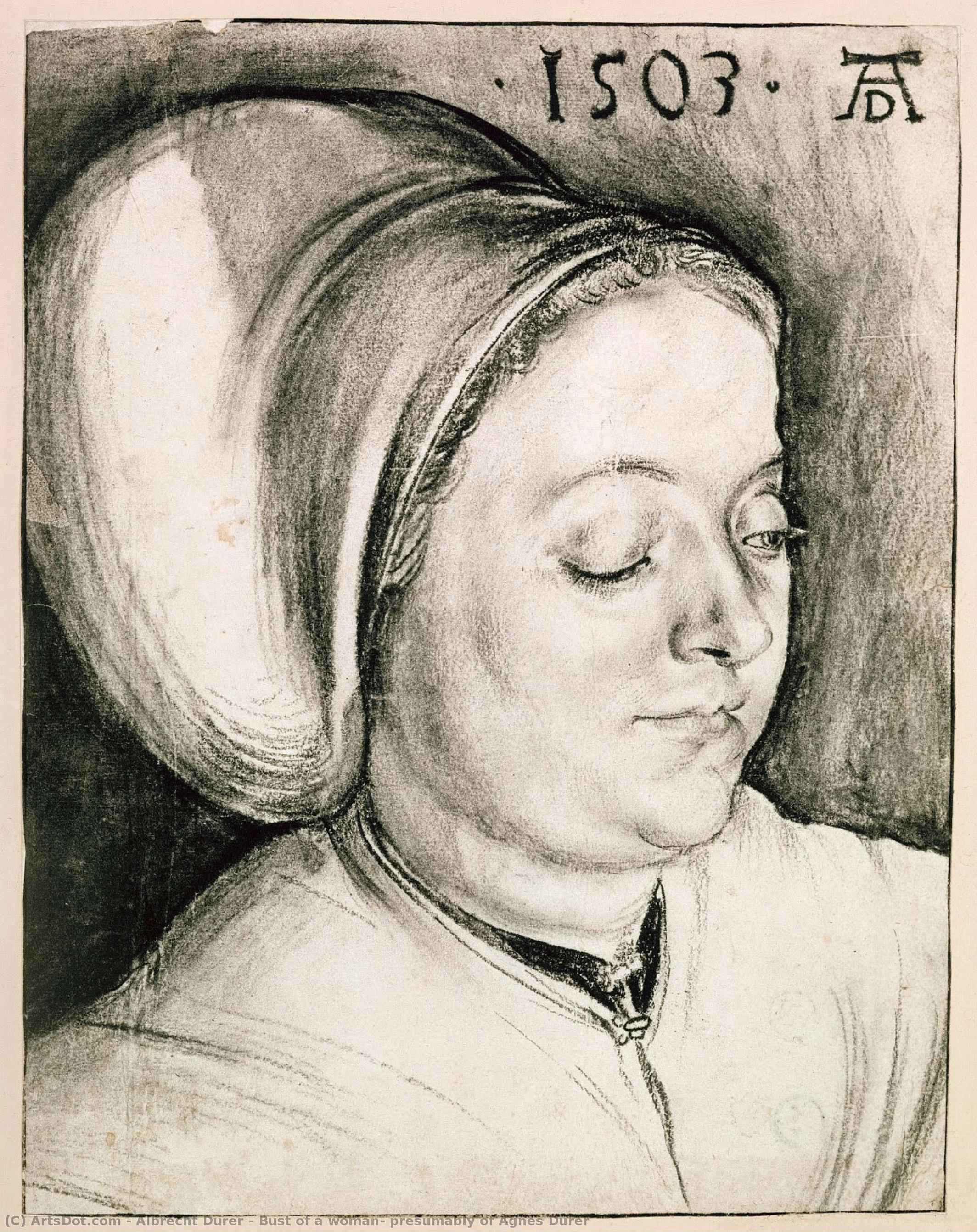 Busto De Una Mujer, Presumiblemente De Agnes Dürer — Albrecht Dürer