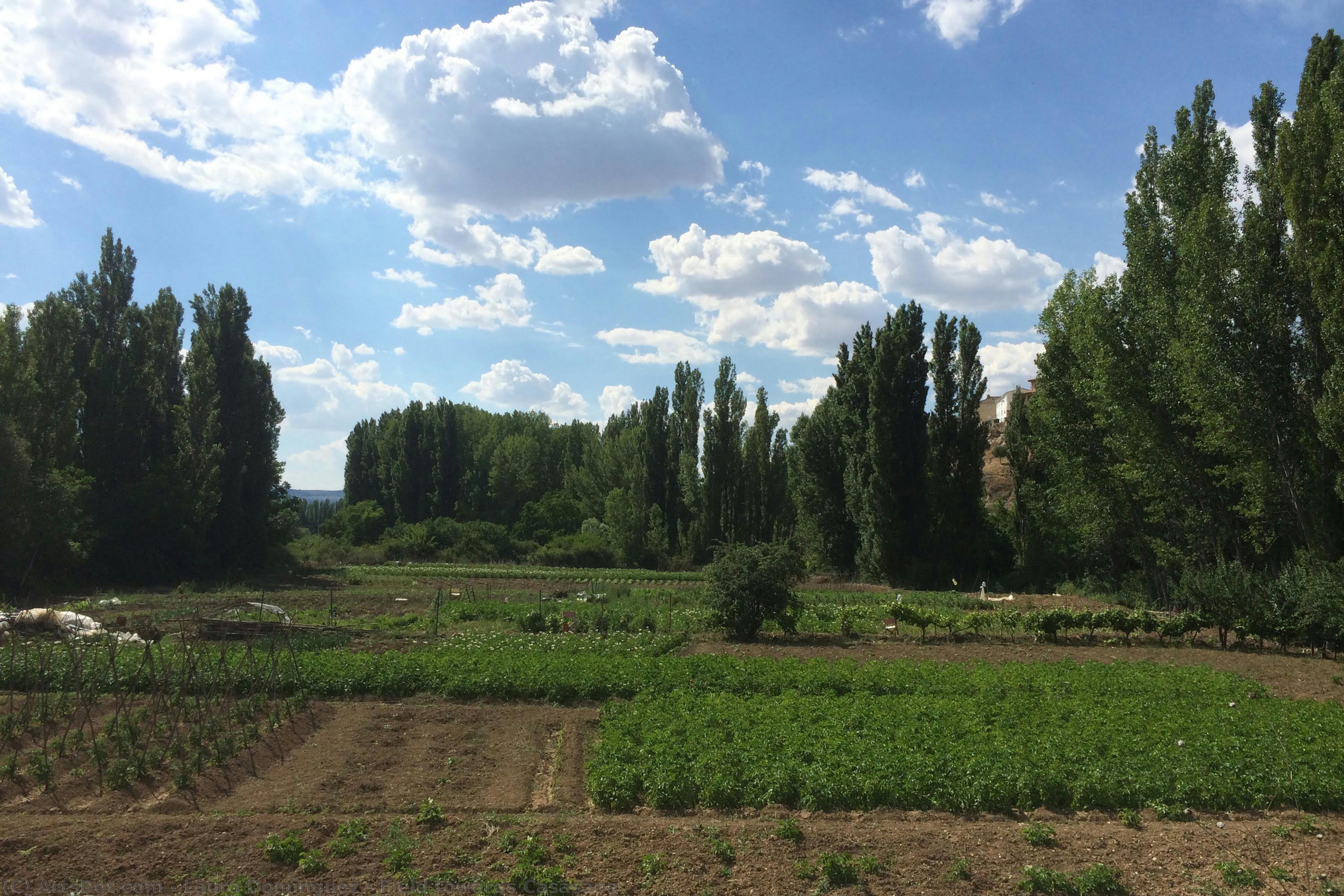 Field Towards Casasana — Laura Domínguez