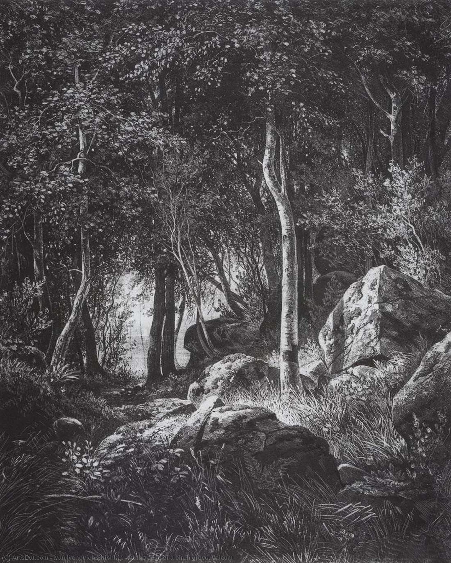 At The Edge Of A Birch Grove. Valaam — Ivan Ivanovich Shishkin