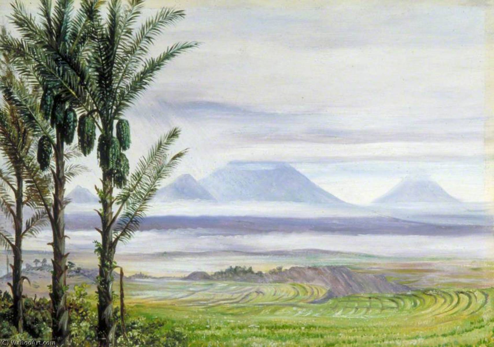 Volcanes De Temangong Con Palmas De Azúcar En Primer Plano, Java — Marianne North