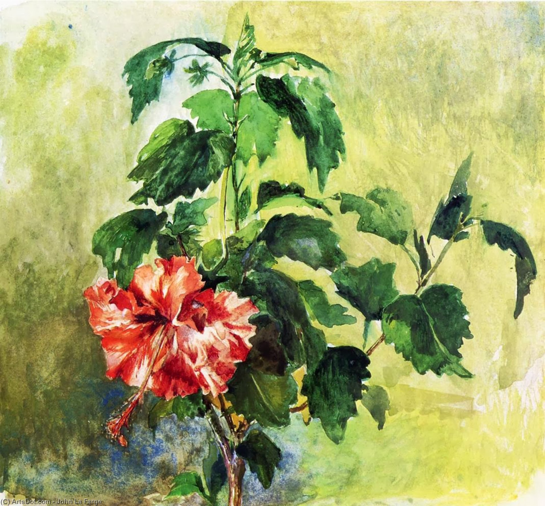 The Hibiscus, Tahiti, Society Islands — Џон Лафарж