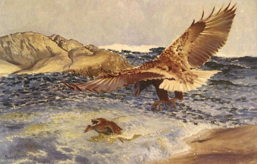 A Sea Eagle Chasing Eider Duck — Bruno Liljefors