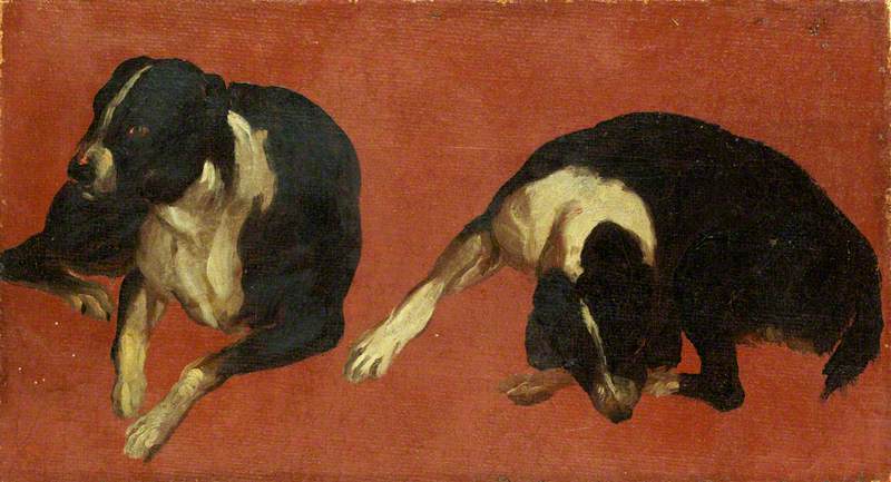 Two Studies Of A Dog — Luca Carlevaris