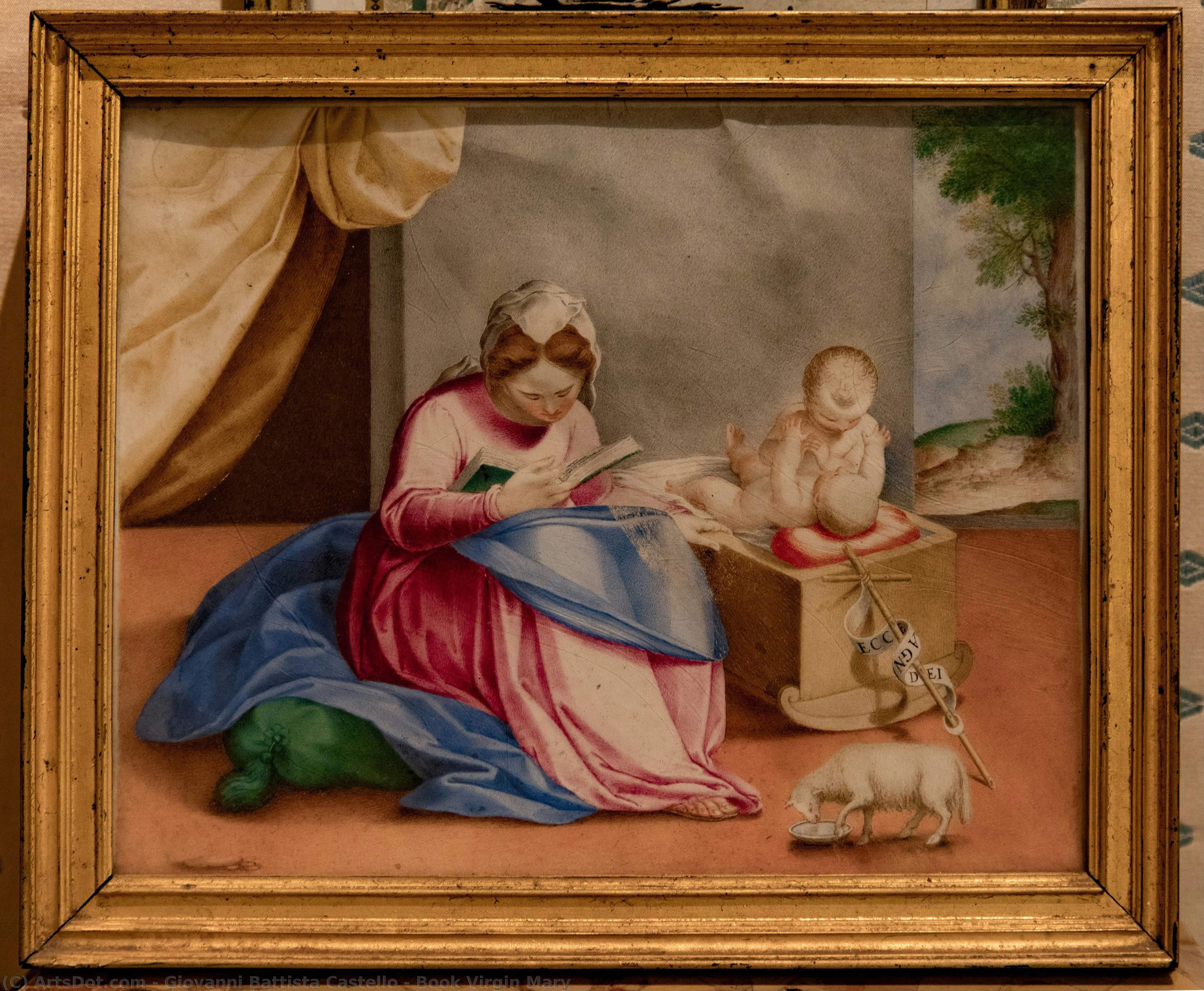 Book Virgin Mary — Giovanni Battista Castello