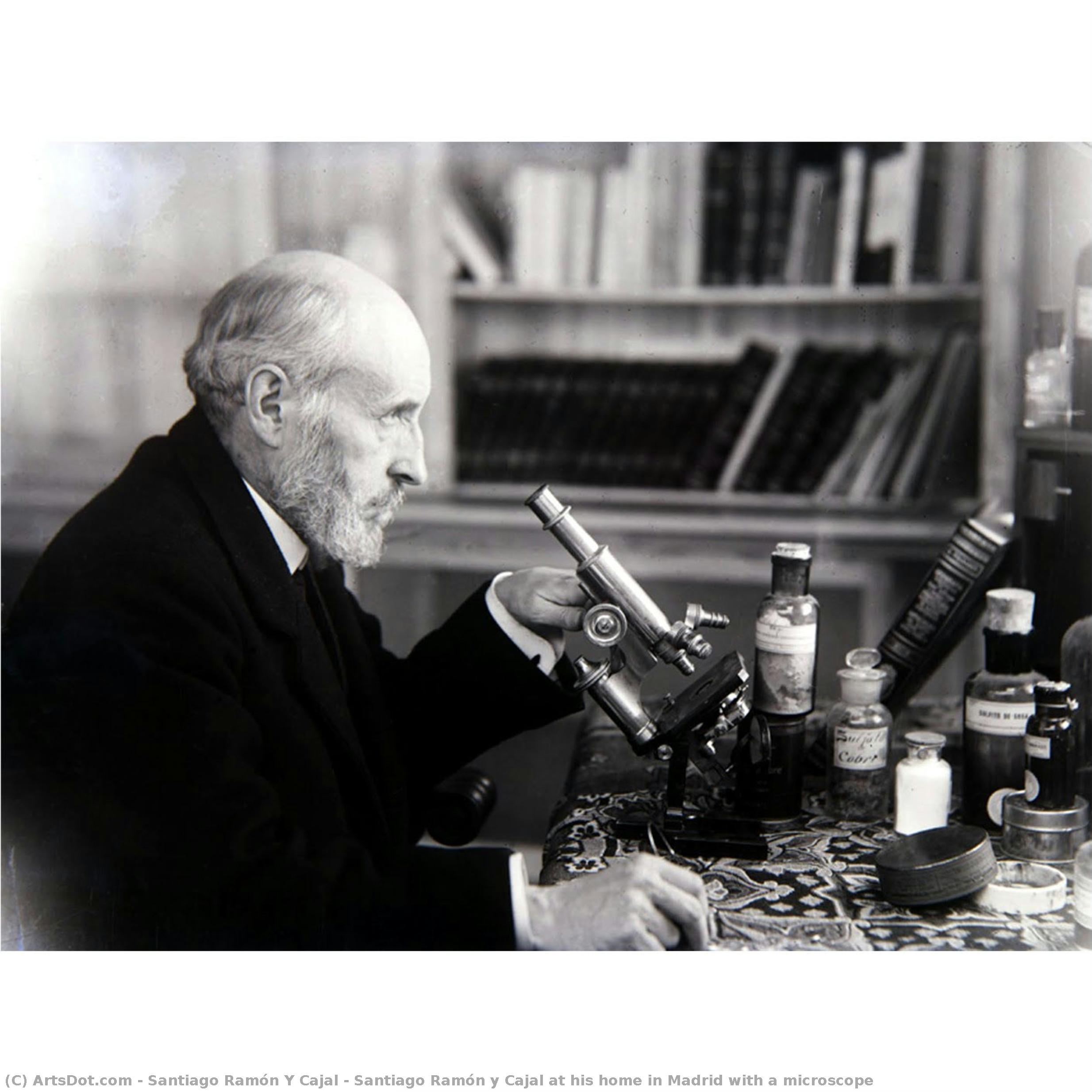 Santiago Ramón Y Cajal At His Home In Madrid With A Microscope — Santiago Ramón Y Cajal