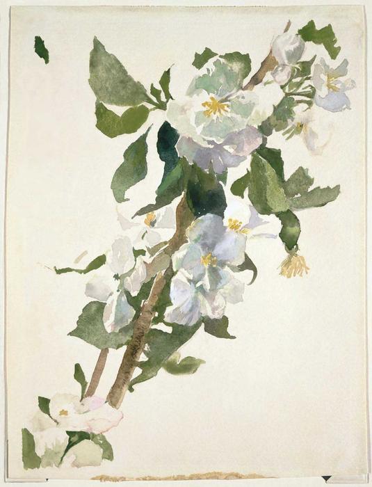 Apple Blossoms 2 — John La Farge