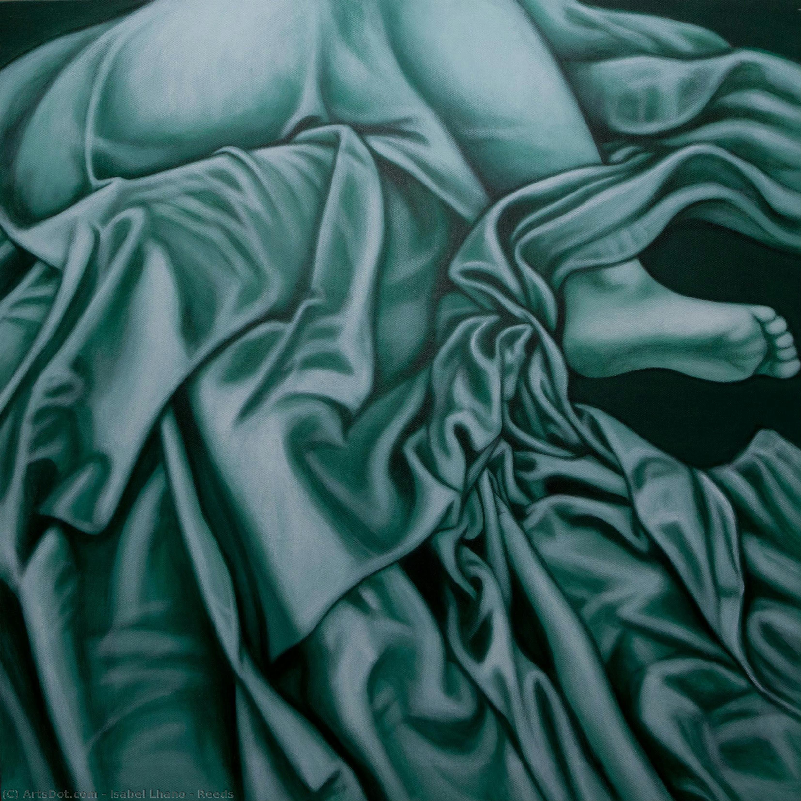 Reeds — Isabel Lhano