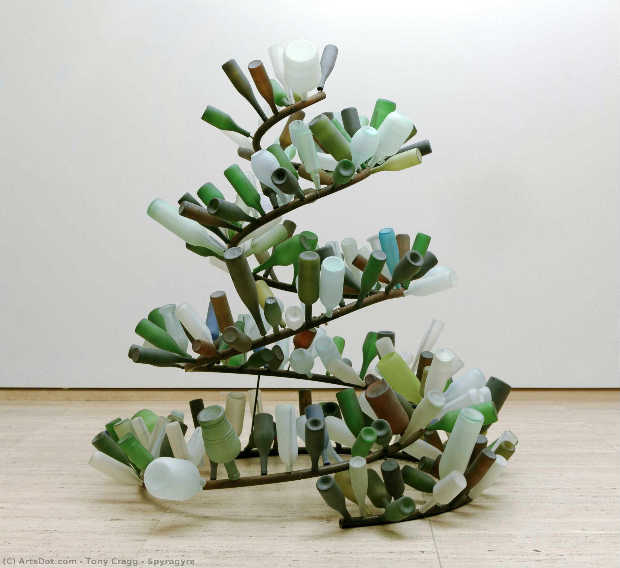 Spyrogyra — Tony Cragg