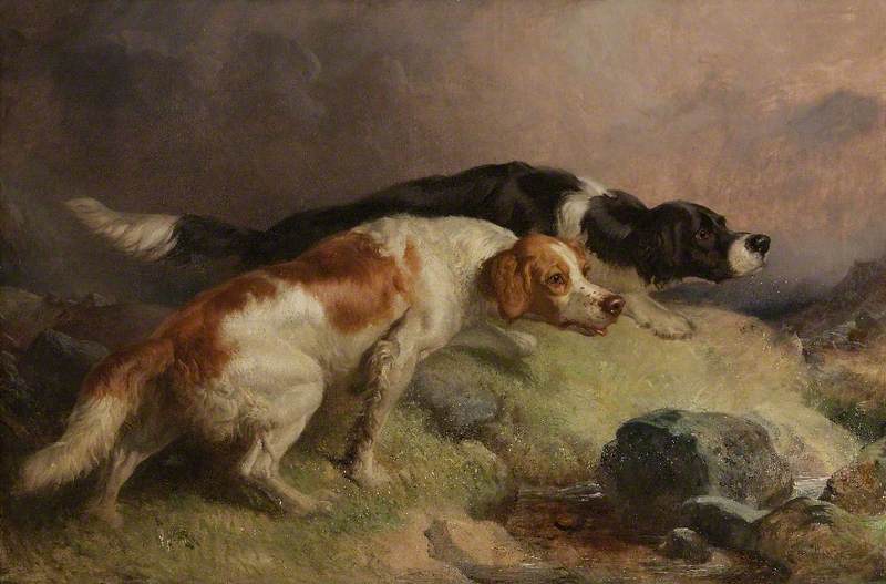 Setters On The Moor — Thomas Woodward