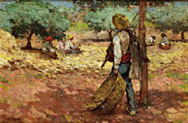 Hombre En El Campo — Alberto Pla Y Rubio