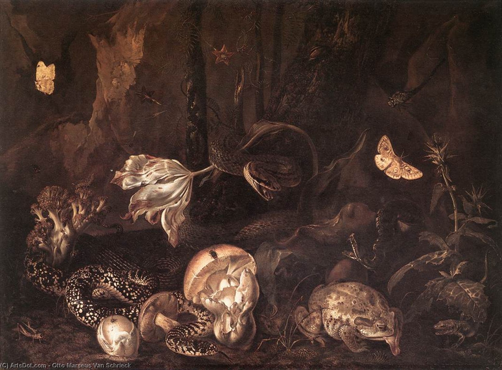 Still-life With Insects And Amphibians — Otto Marseus Van Schrieck