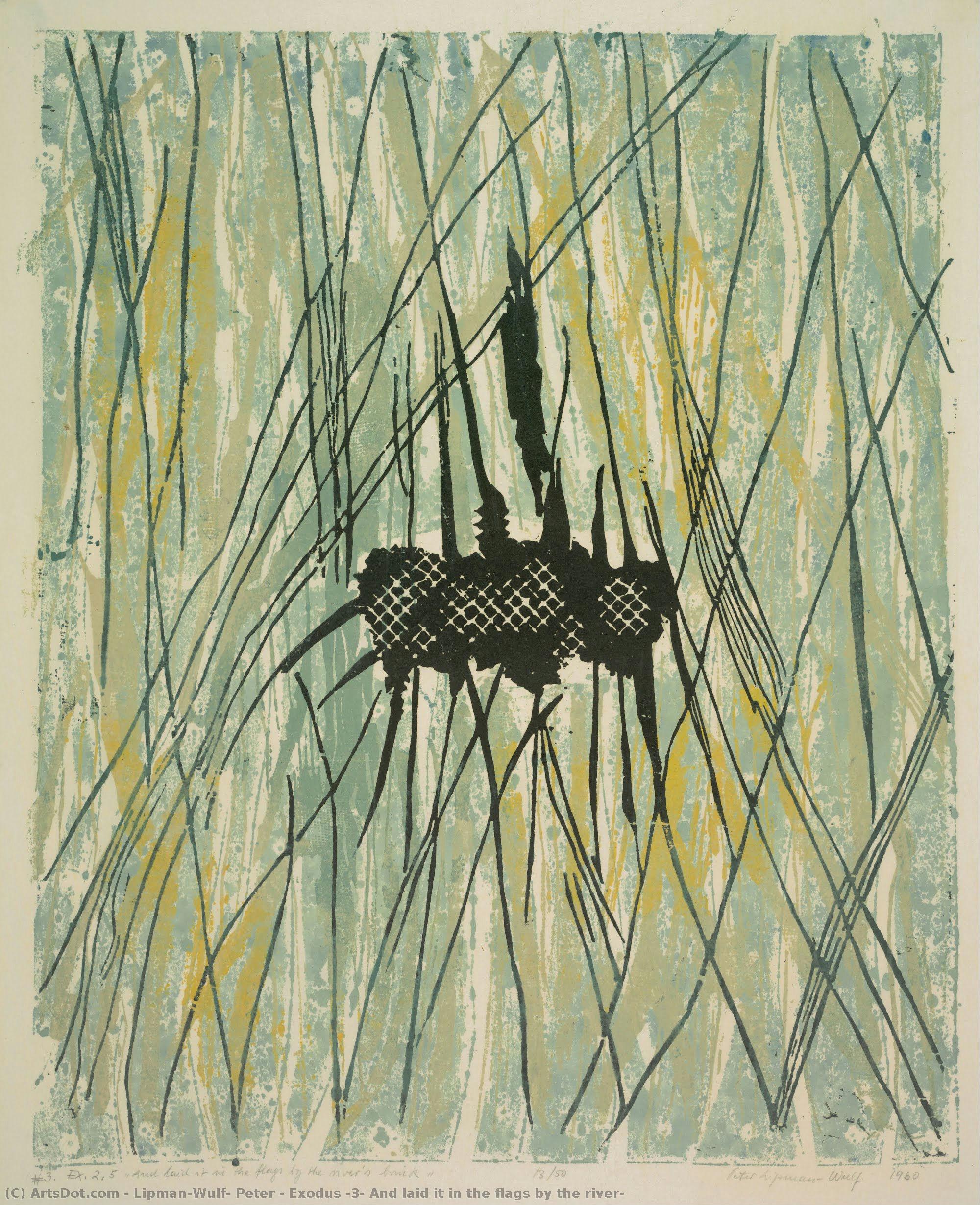 Exodus #3, And Laid It In The Flags By The River — Lipman-wulf, Peter