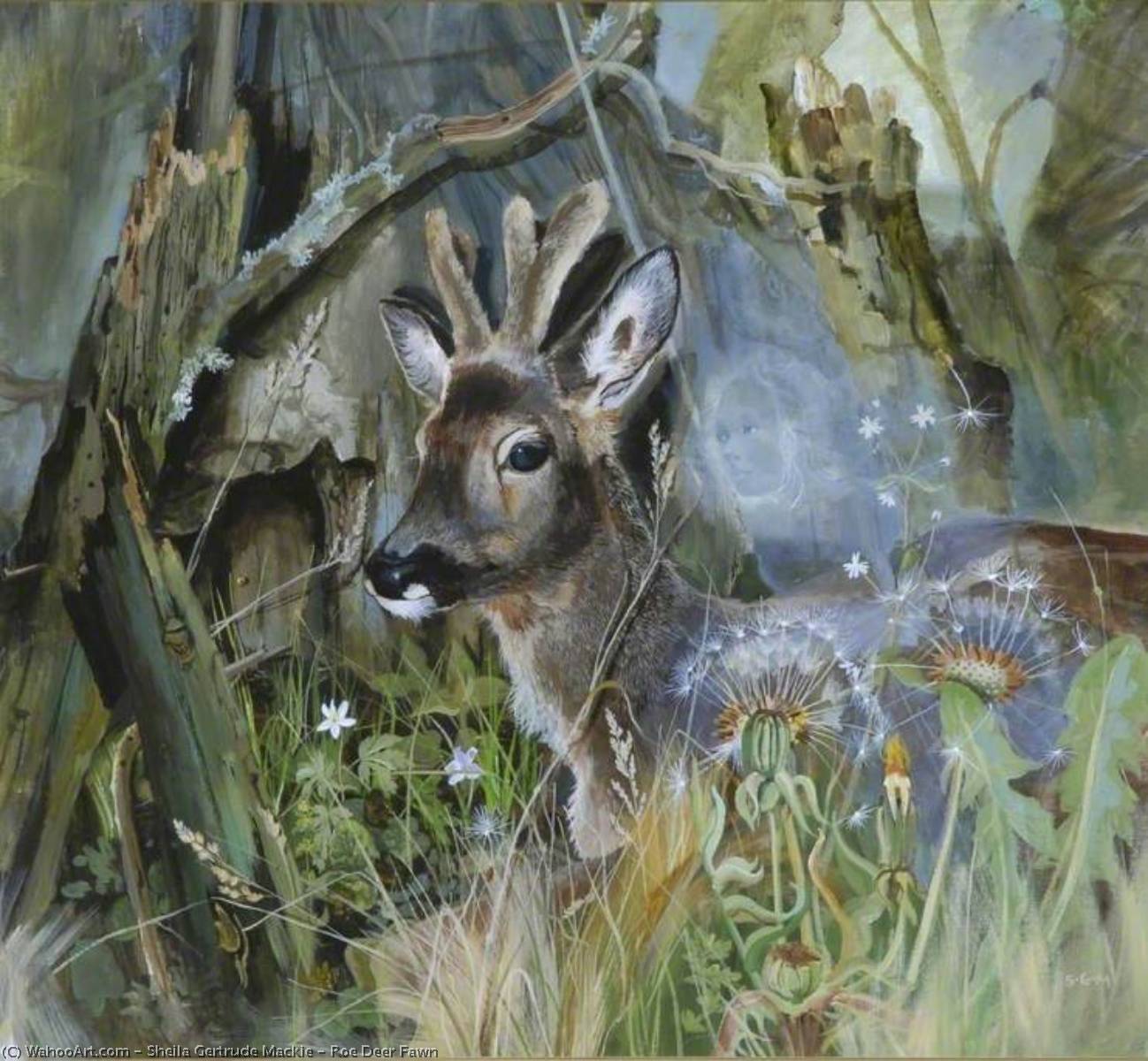 Roe Deer Fawn — Sheila Gertrude Mackie