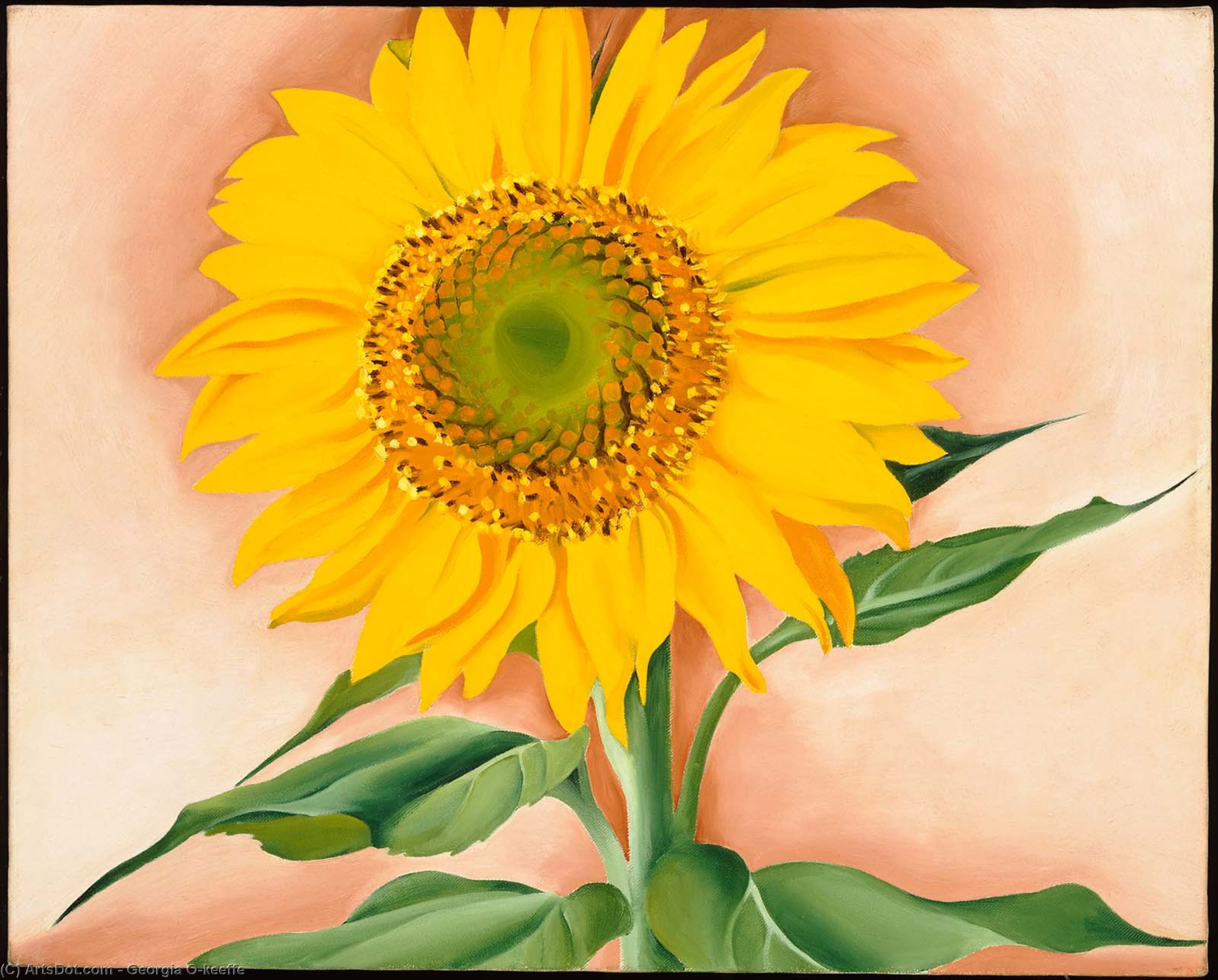 A Sunflower From Maggie — Georgia O'keeffe