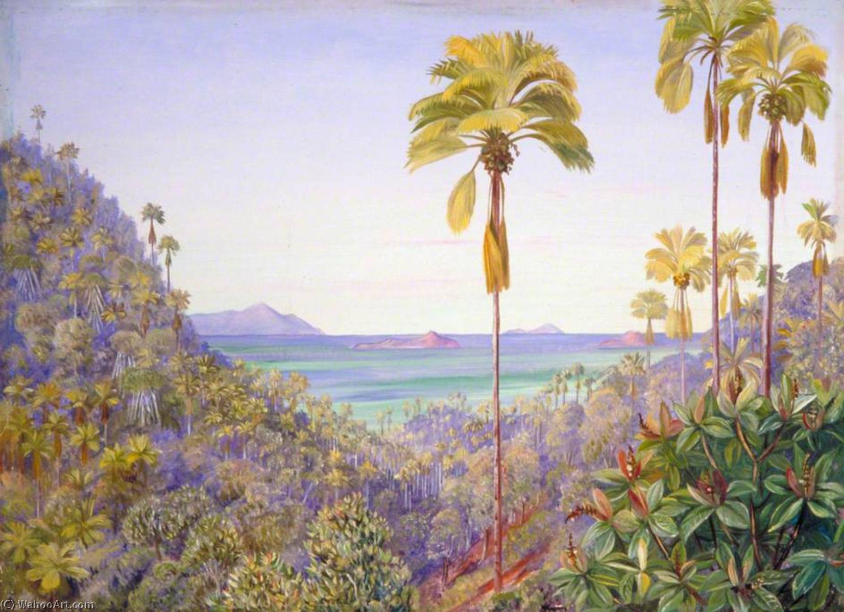 Coco De Mer Gorge In Praslin, Seychelles, With Distant View Of Mahé Silhouette And The Cousins — Marianne North