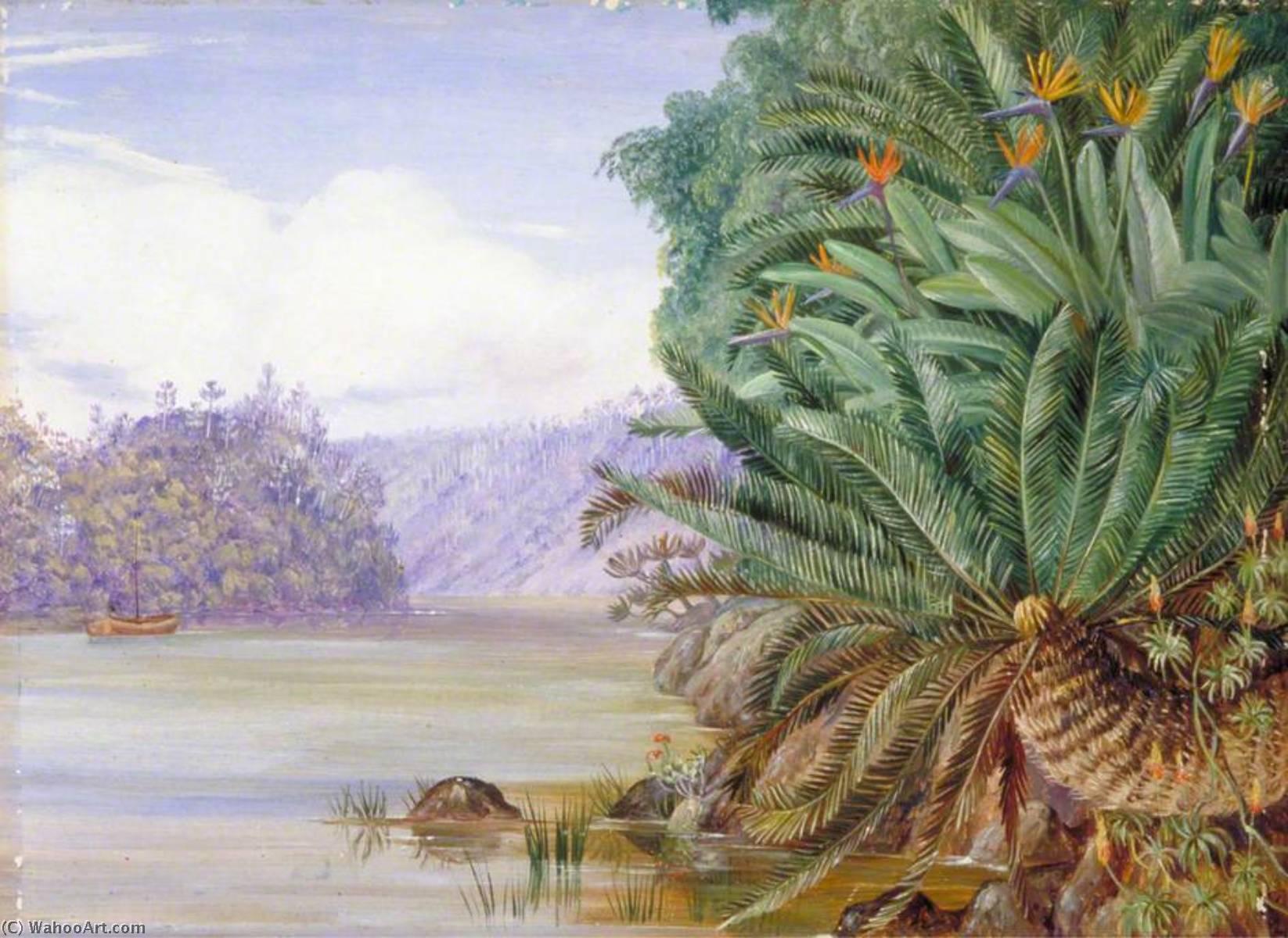 A View On The Knowie River, South Africa — Marianne North
