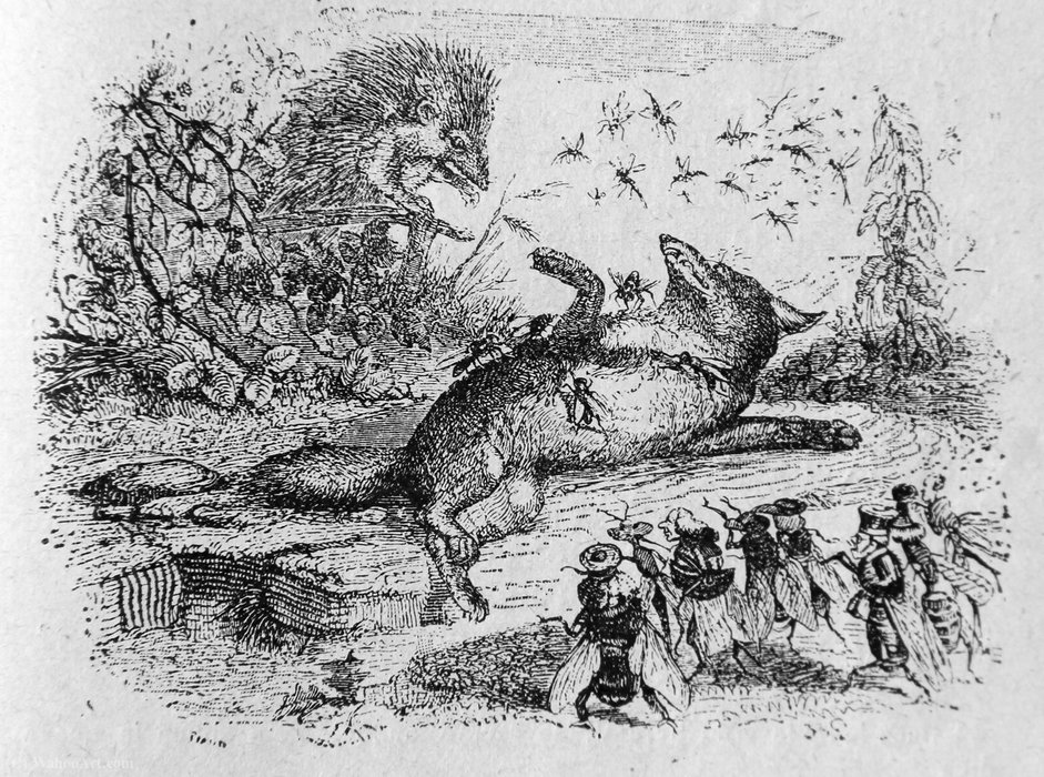 Illustrations Des Fables De La Fontaine — Jean Jacques Grandville
