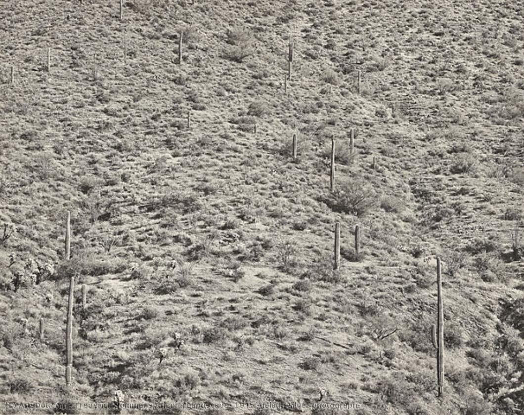 Arizona Landscape, 1945 (gelatin Silver Photograph) — Frederick Sommer
