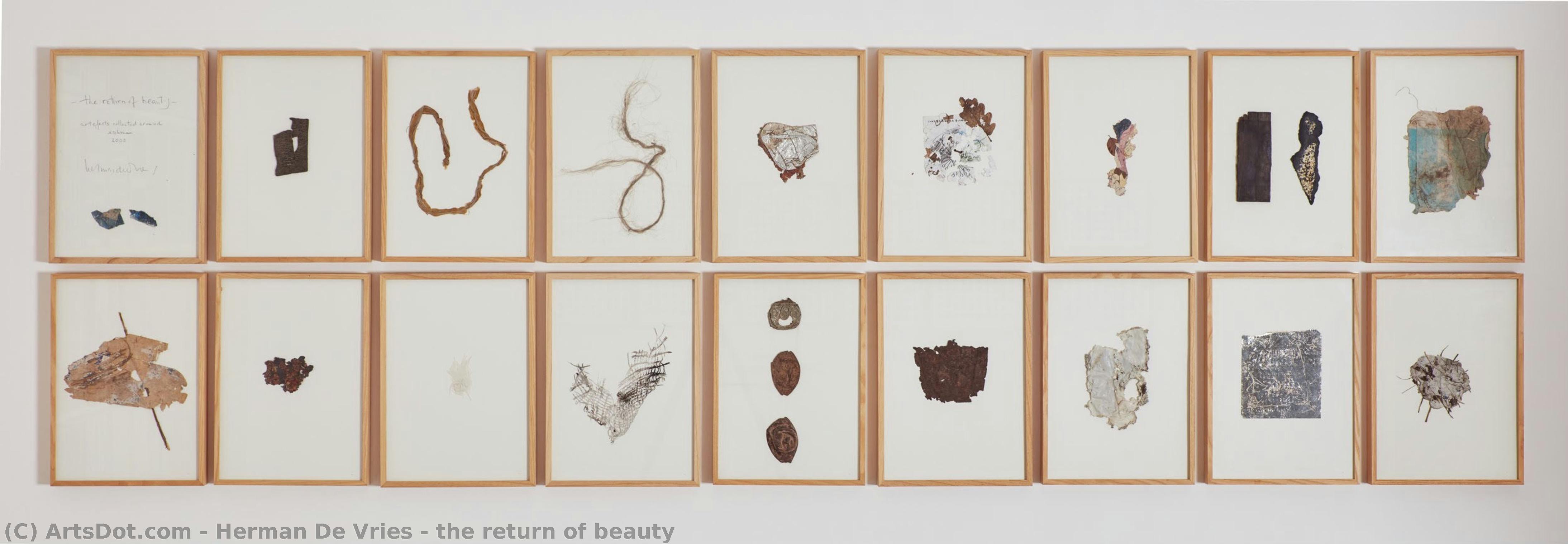 The Return Of Beauty — Herman De Vries