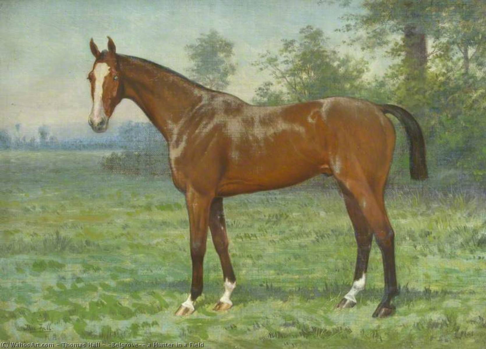 'belgrove', A Hunter In A Field — Thomas Hall