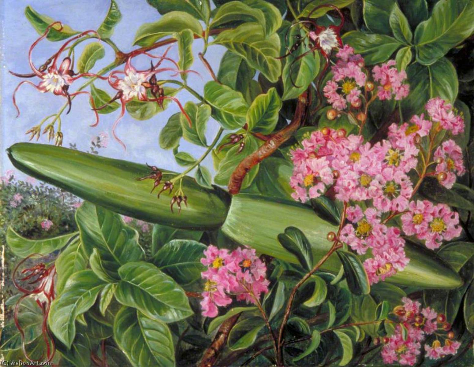 Two Flowering Shrubs Of Java — Марианна Норт
