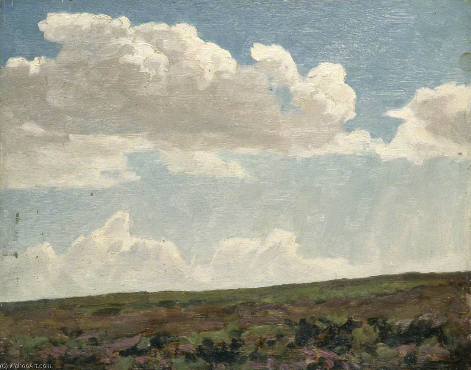 Landscape With Cloudy Sky And Purple Heather — Gunning King