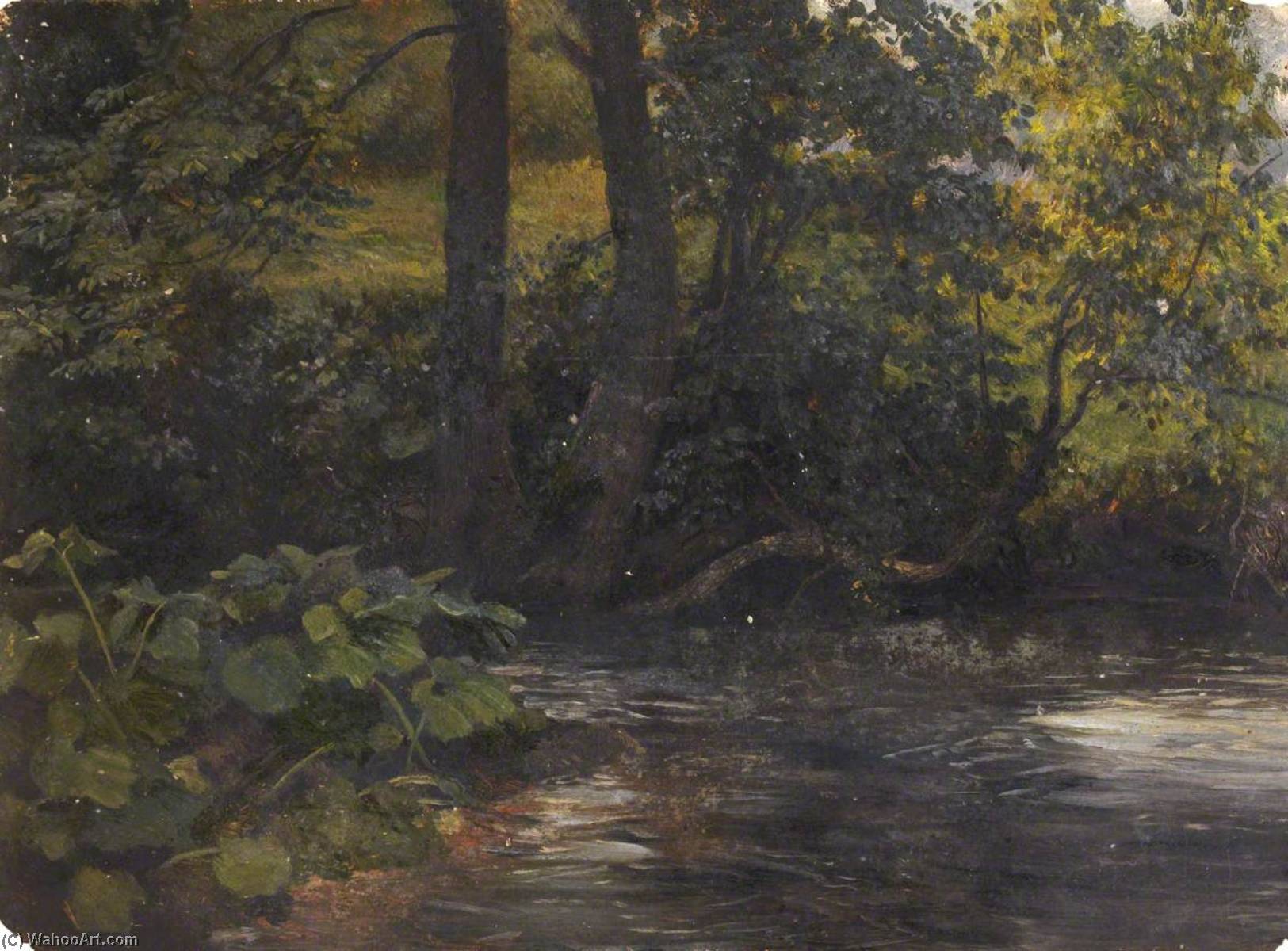 Trees On The Water — Tomas Stjuart Smit