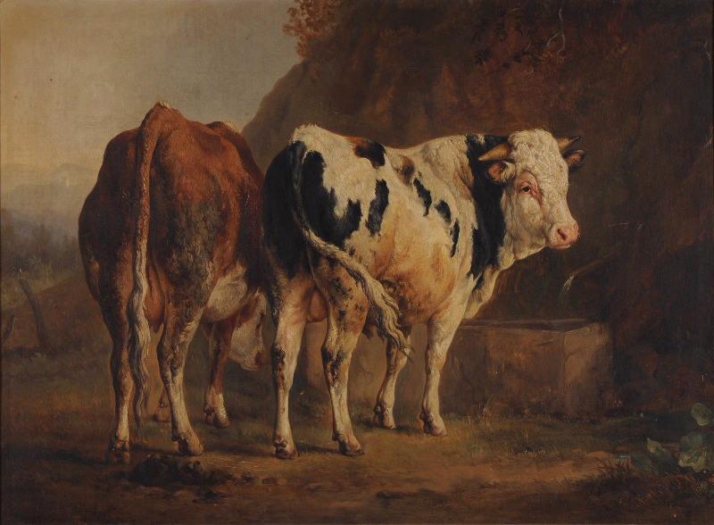 Taureau À Robe Blanche Et Noire Et Vache À Robe Brune (titre Attribué) — Jacques Raymond Brascassat