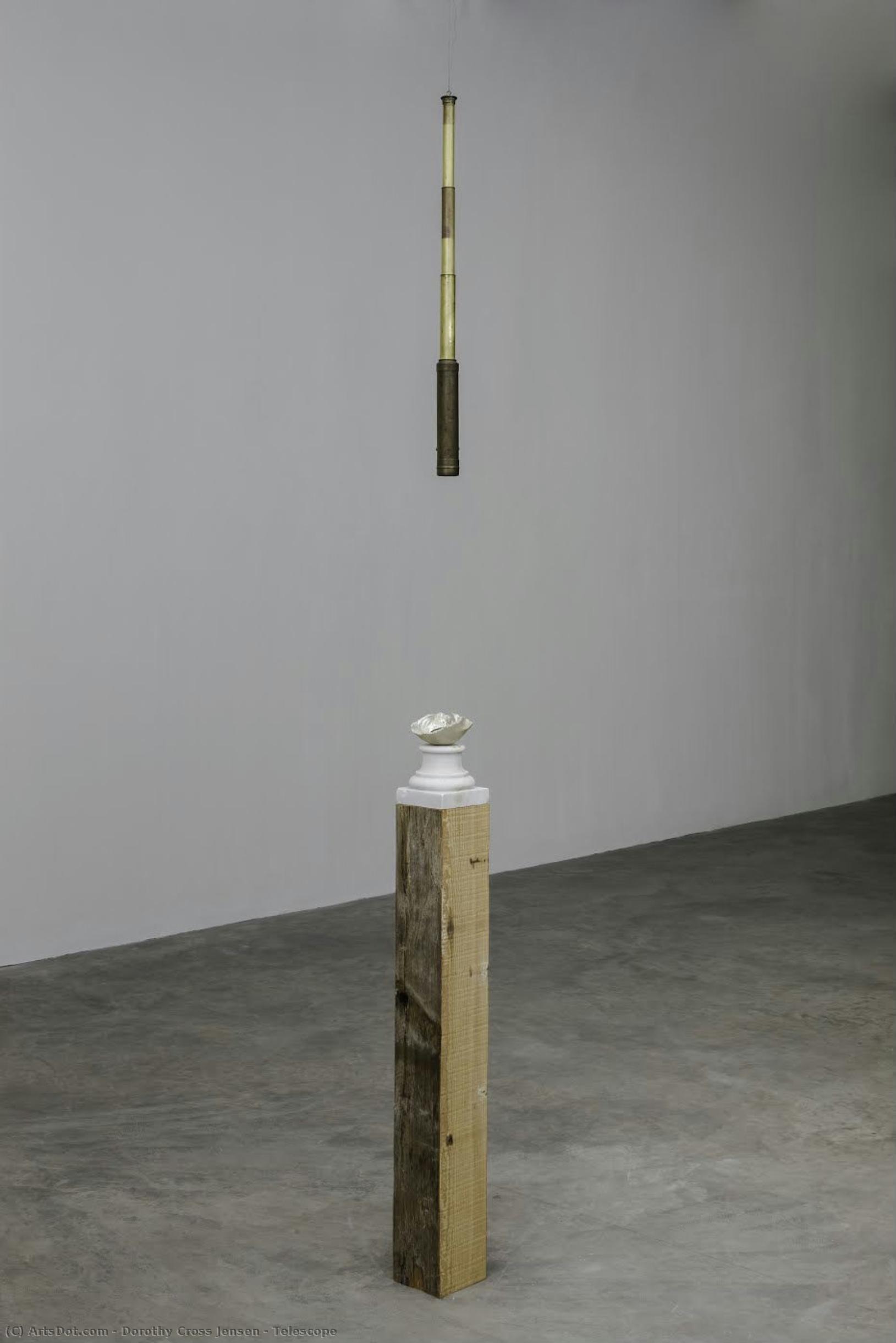 Telescope — Dorothy Cross Jensen