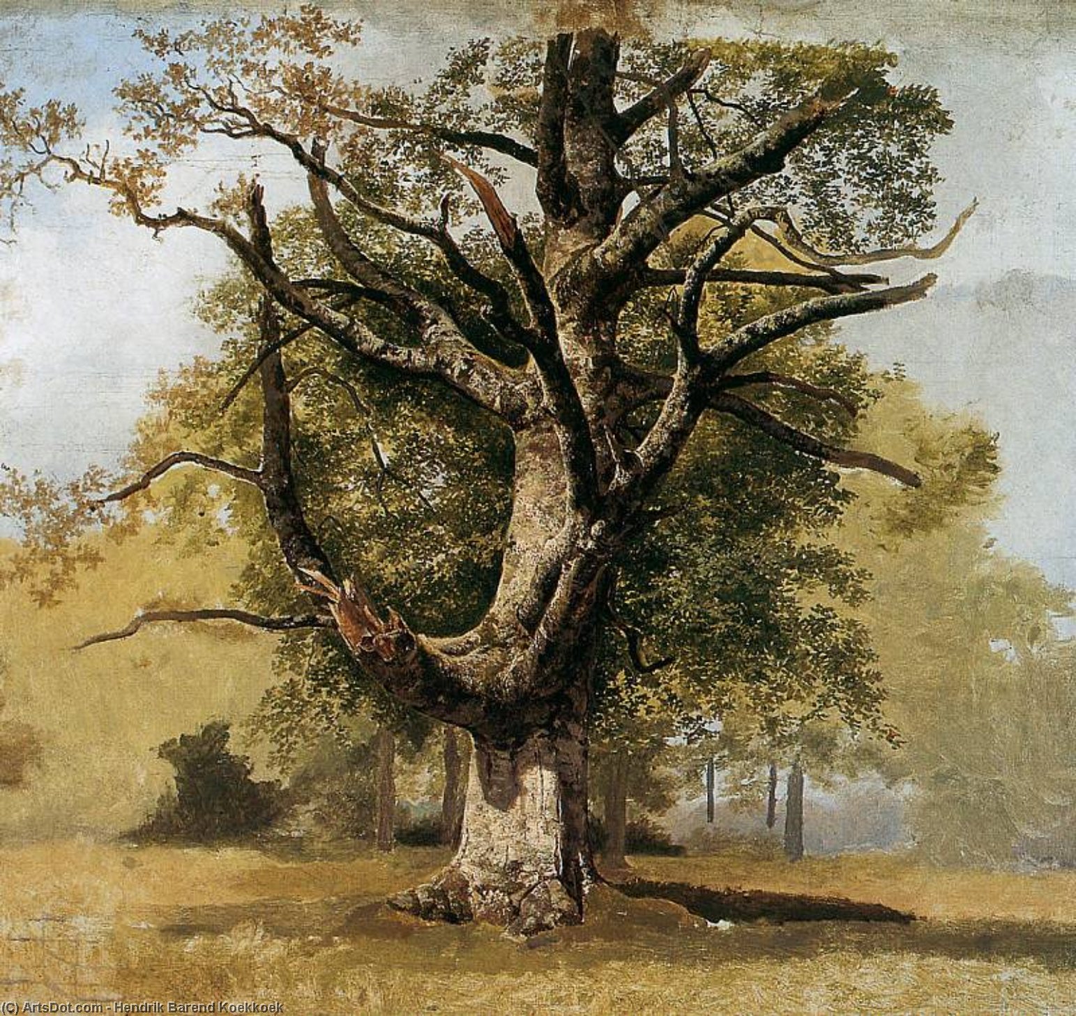 Beech Tree Sun — Hendrik Barend Koekkoek