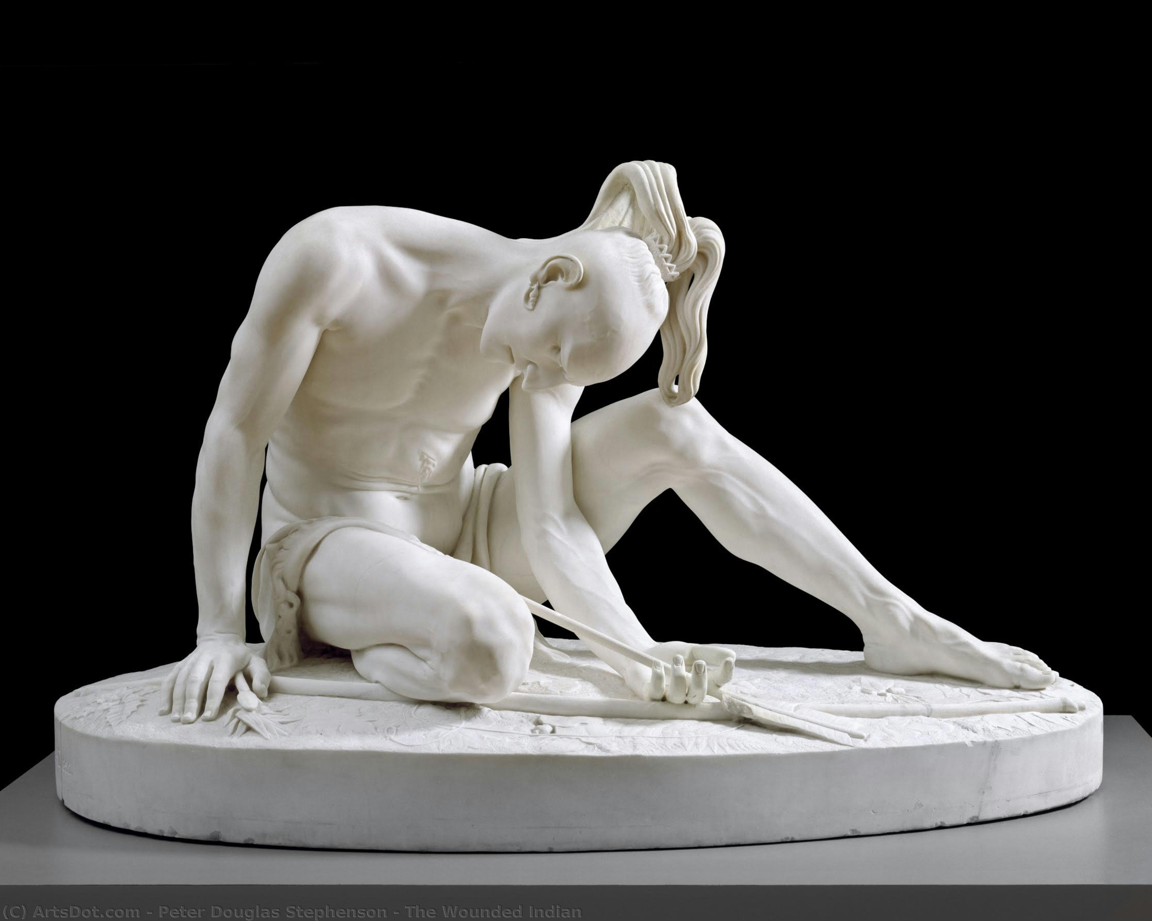 The Wounded Indian — Peter Douglas Stephenson