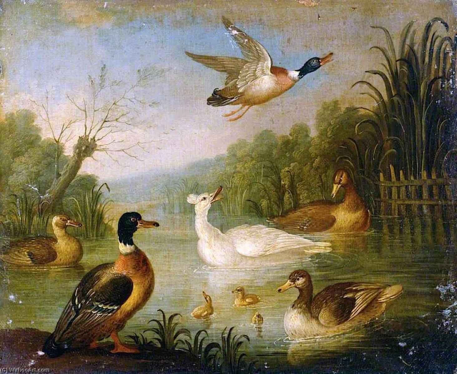 Mallards On A Pond — Marmaduke Cradock