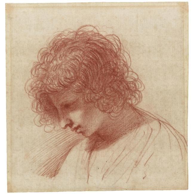 Head Of A Young Man In Profile, Looking Down To The Left — Guercino