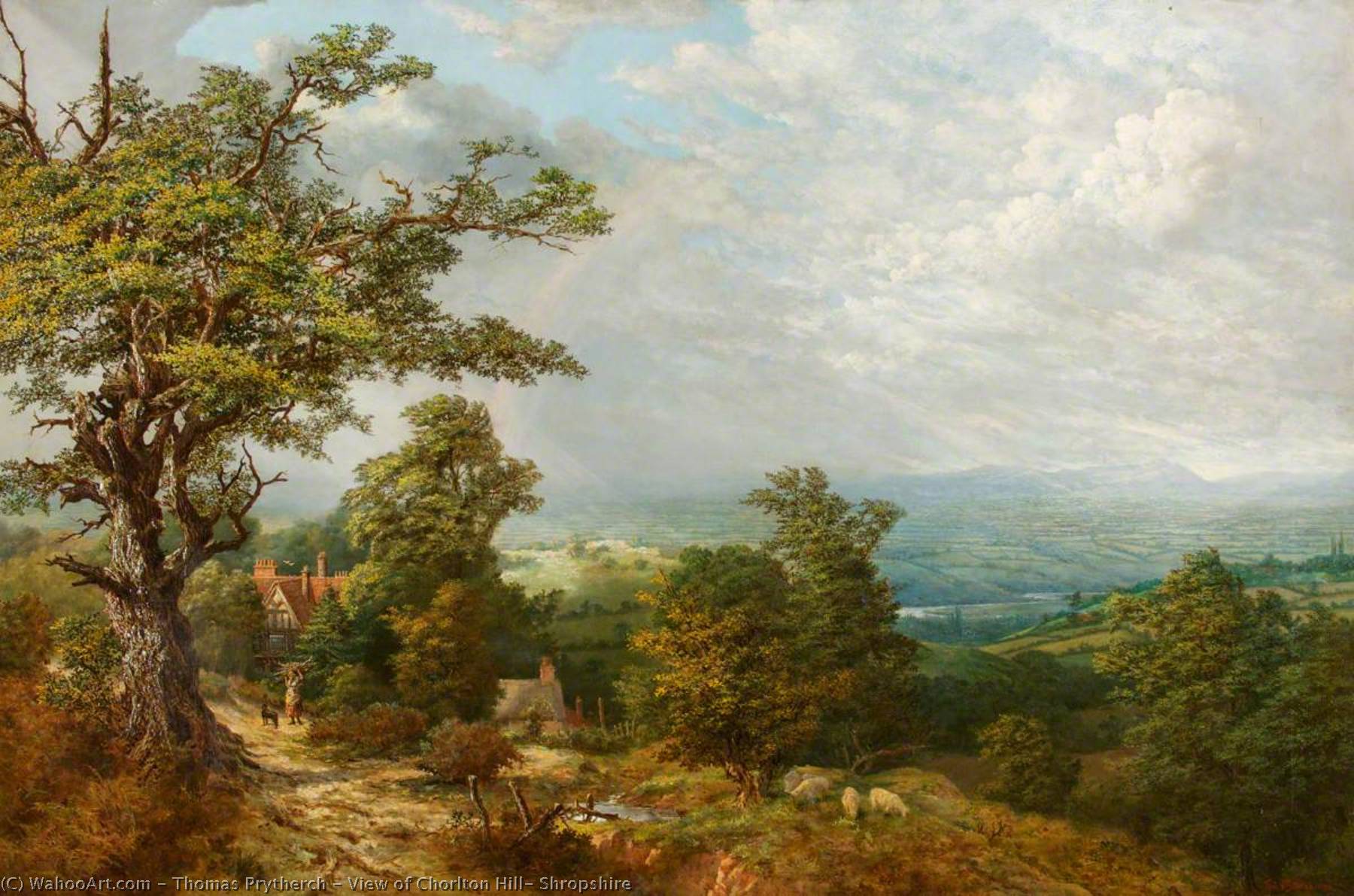 View Of Charlton Hill, Shropshire — Thomas Prytherch