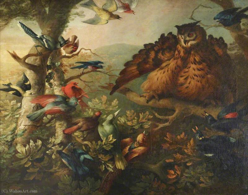 The Mobbing Of A Long-eared Owl By Other Birds — Tobias Stranover