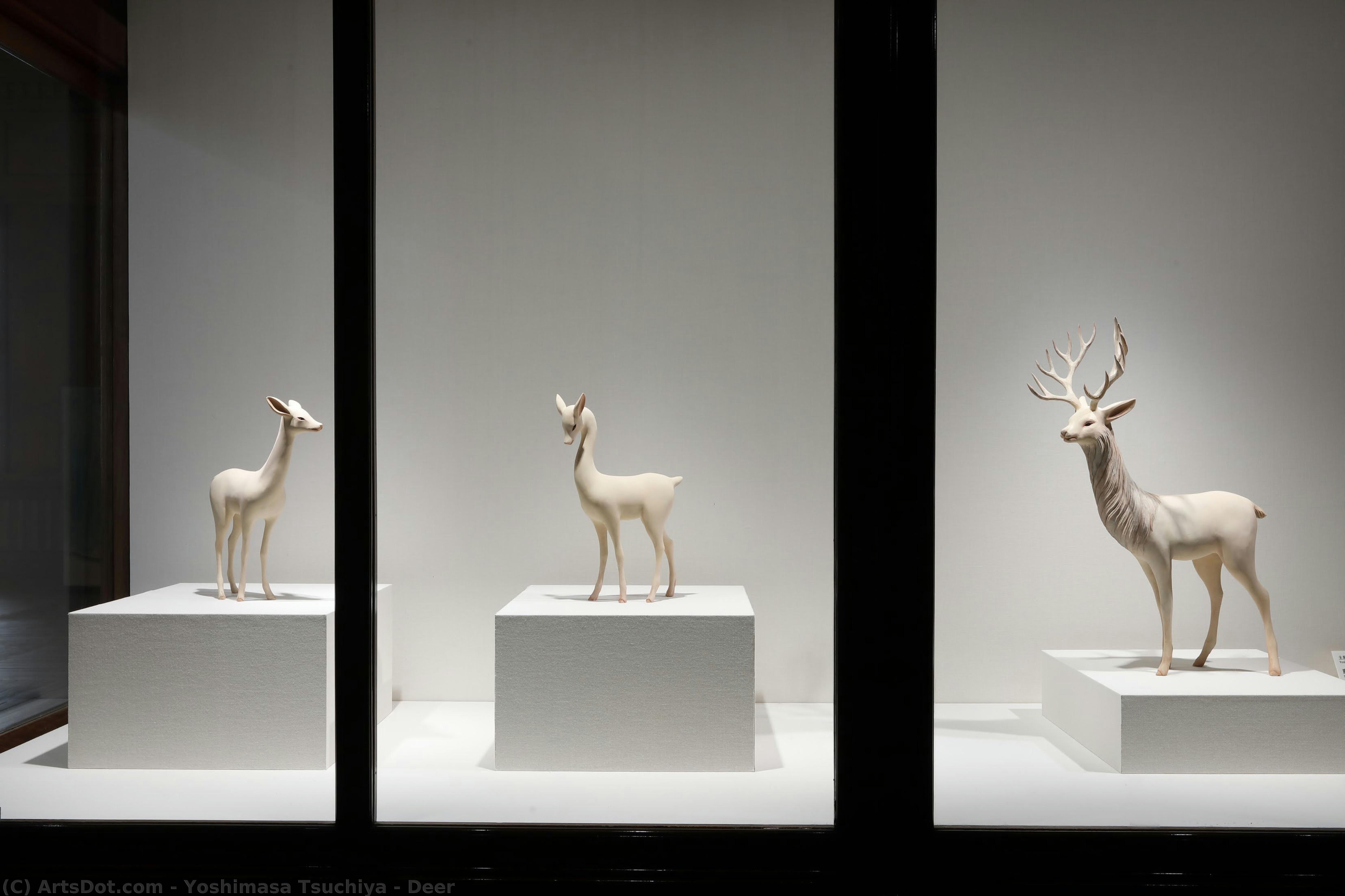 Deer — Yoshimasa Tsuchiya