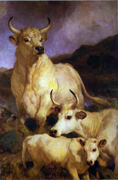 The Wild Cattle Of Chillingham — Sir Edwin Henry Landseer