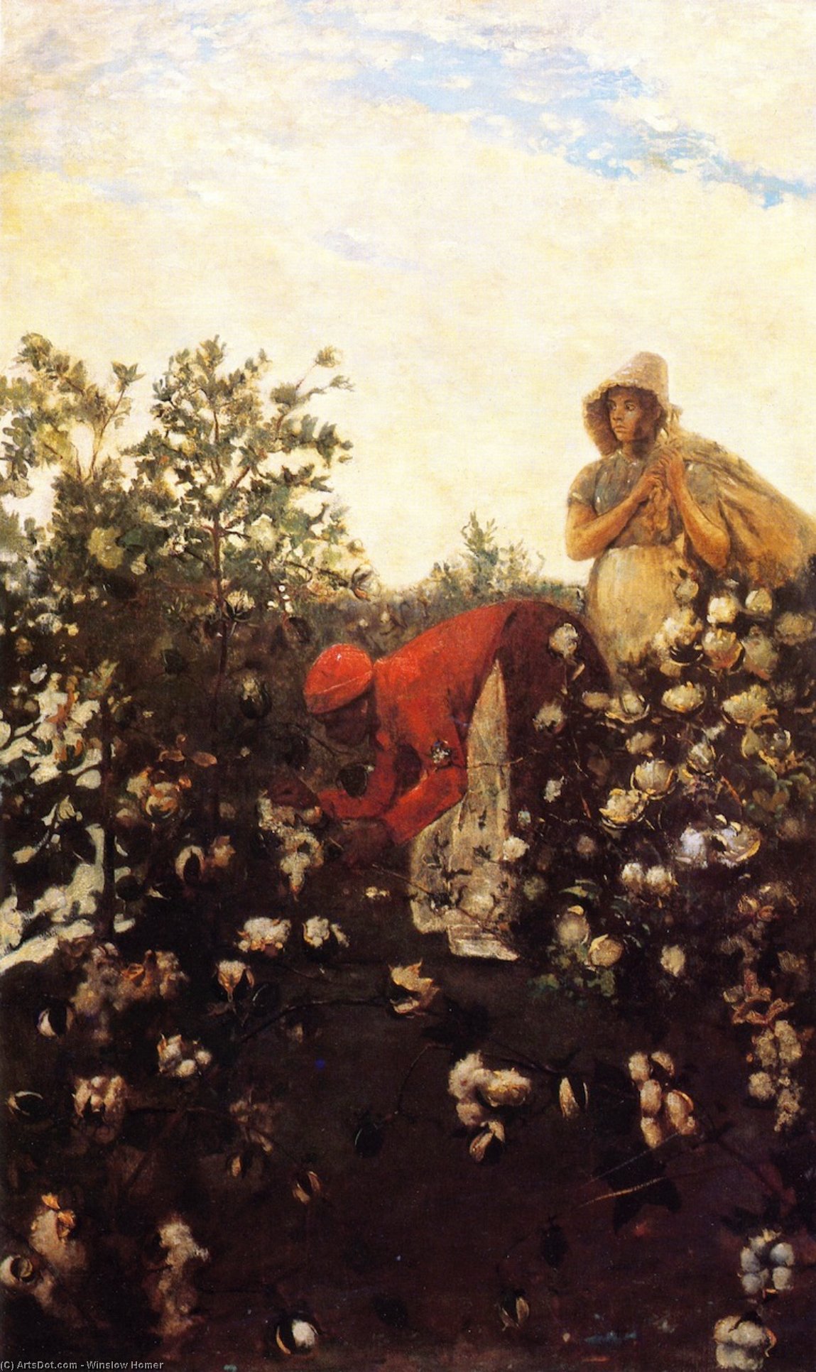 Upland Cotton — Винслоу Хомер
