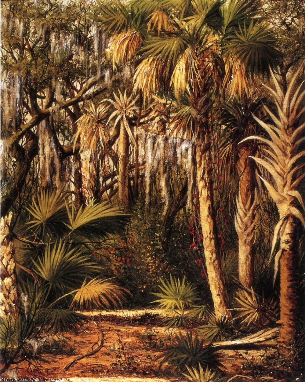Palm Hammock With Epiphytes — Уильям Эйкен Уокер
