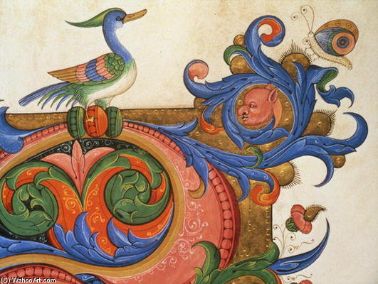 Zoomorphic Foliage With Duck-like Bird And Butterfly, Detail Of Decoration Surround — Matteo Di Filippo Torelli