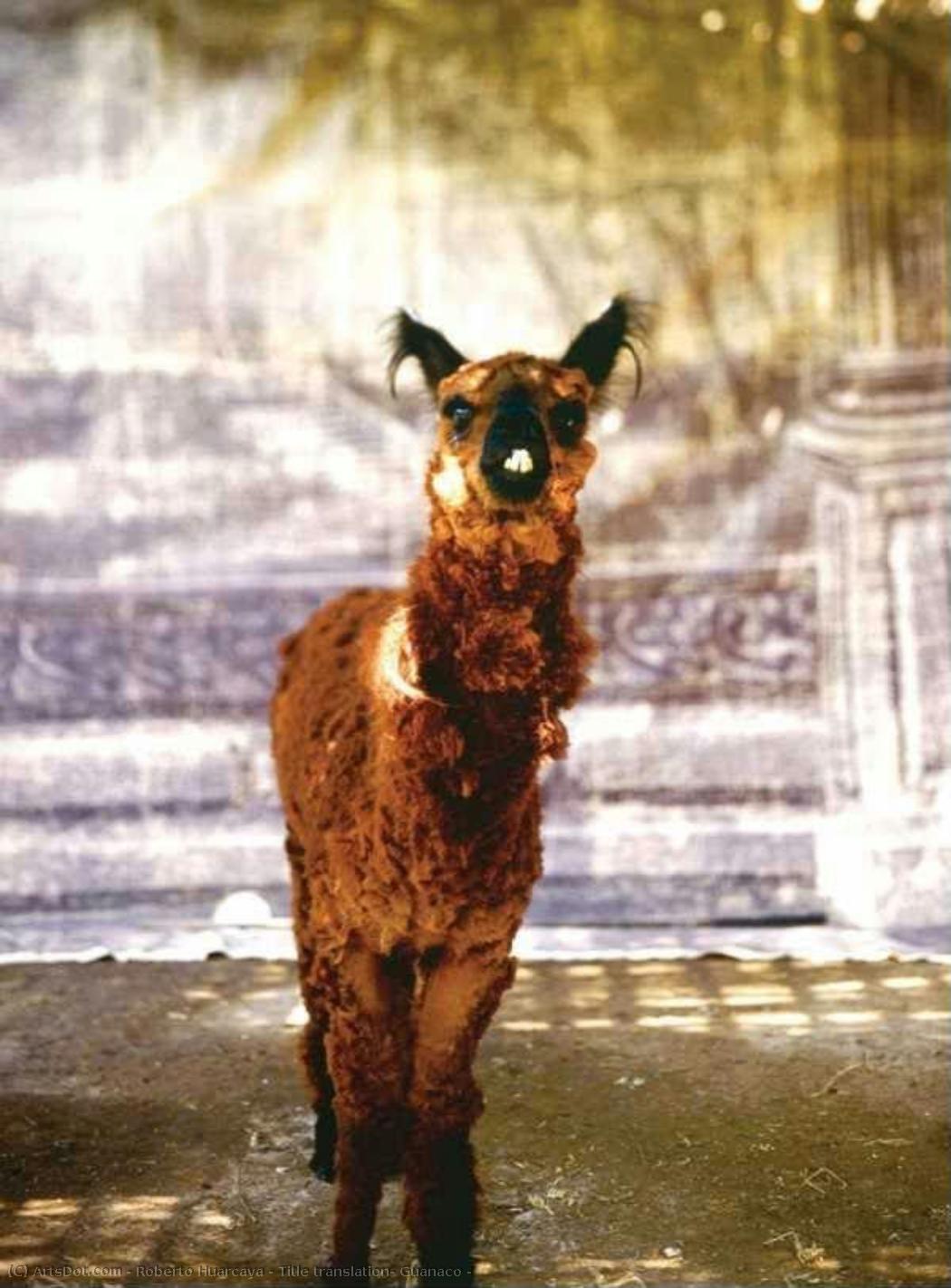 Title Translation: Guanaco — Roberto Huarcaya