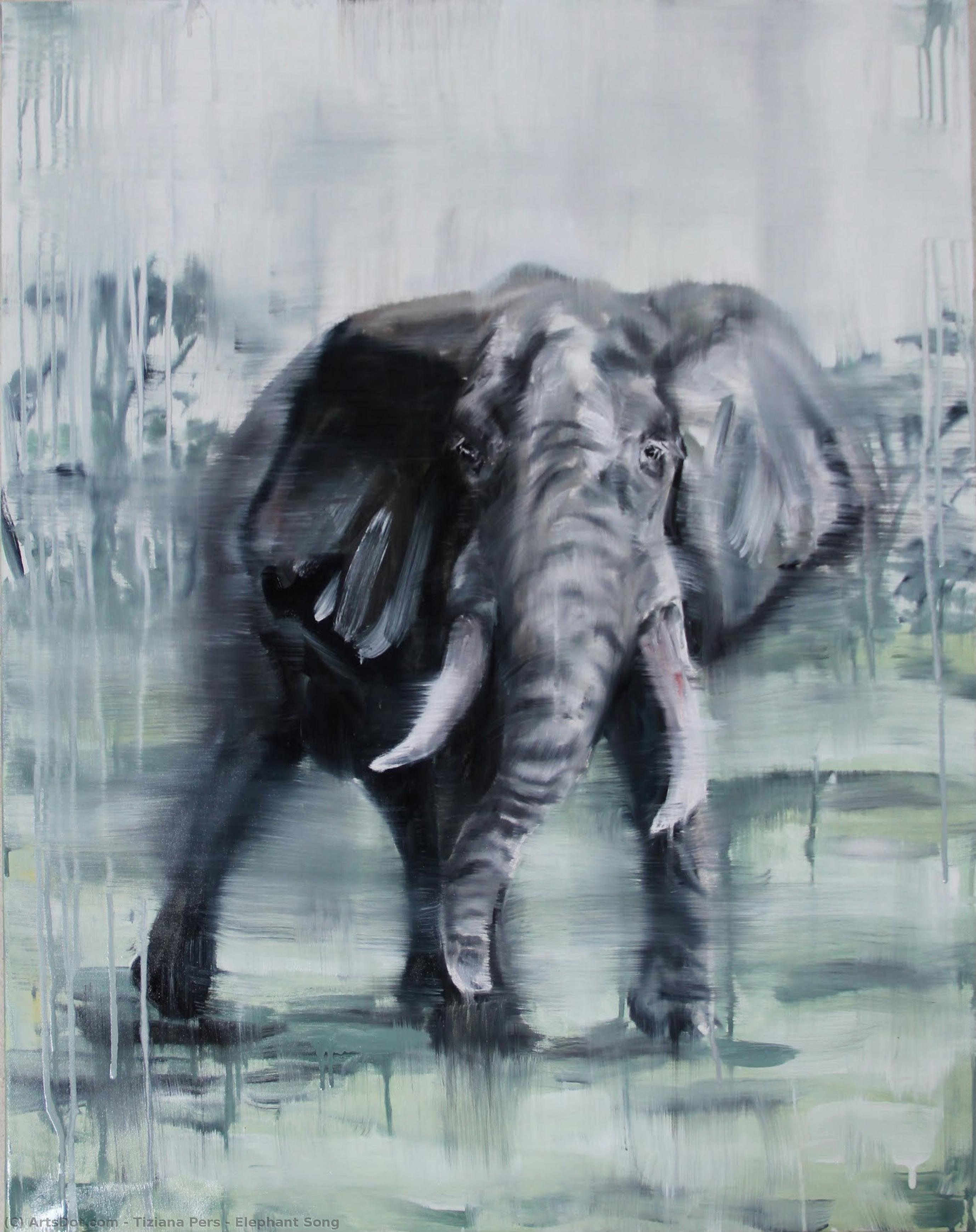 Elephant Song — Tiziana Pers