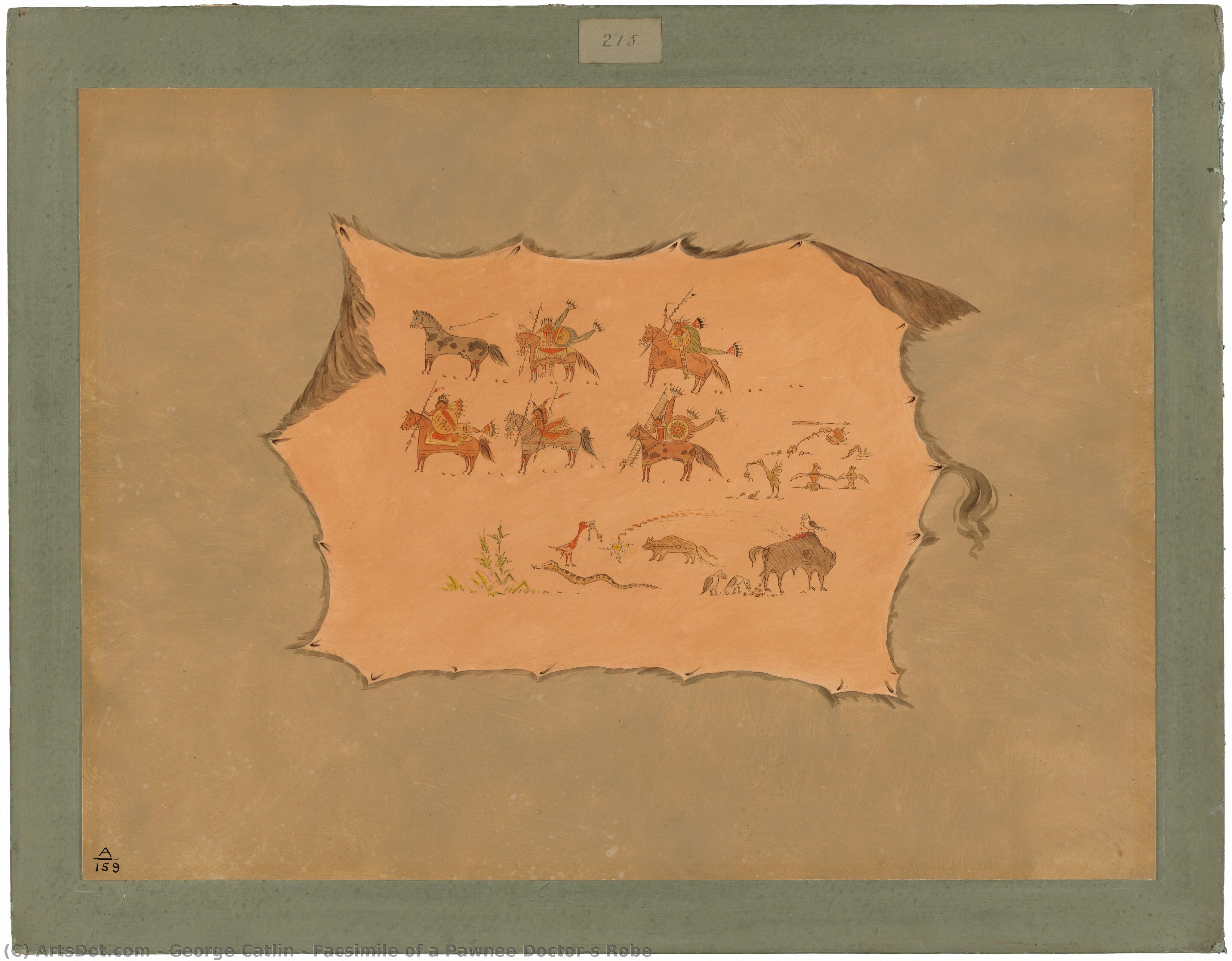 Facsimile Of A Pawnee Doctor's Robe — George Catlin