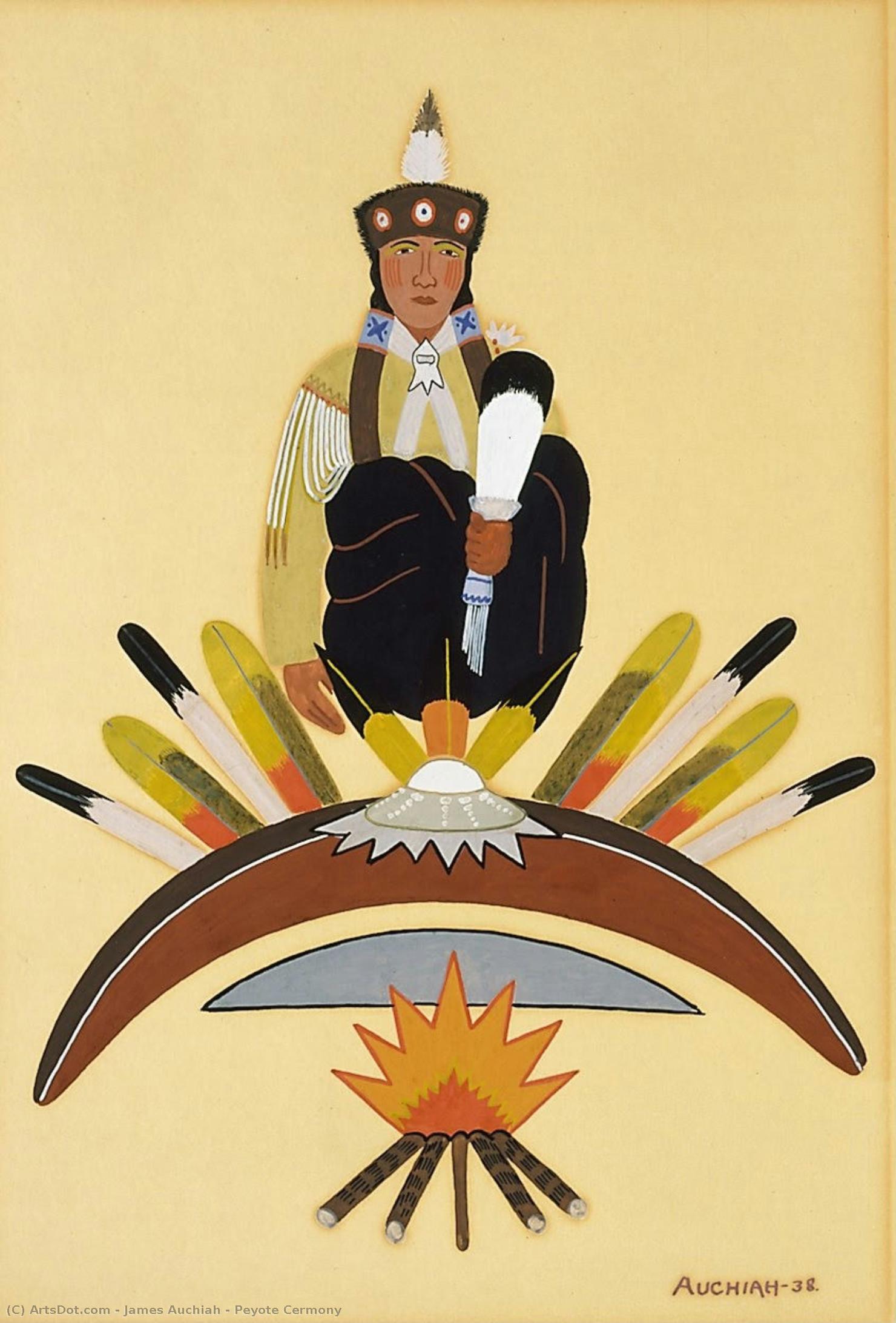 Peyote Cermony — James Auchiah