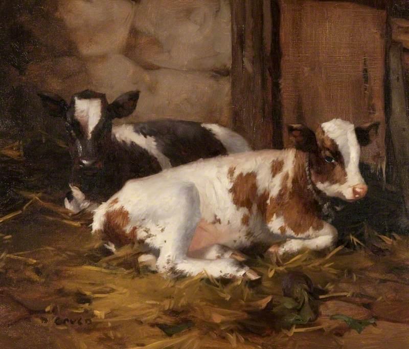 Two Calves — David Gauld