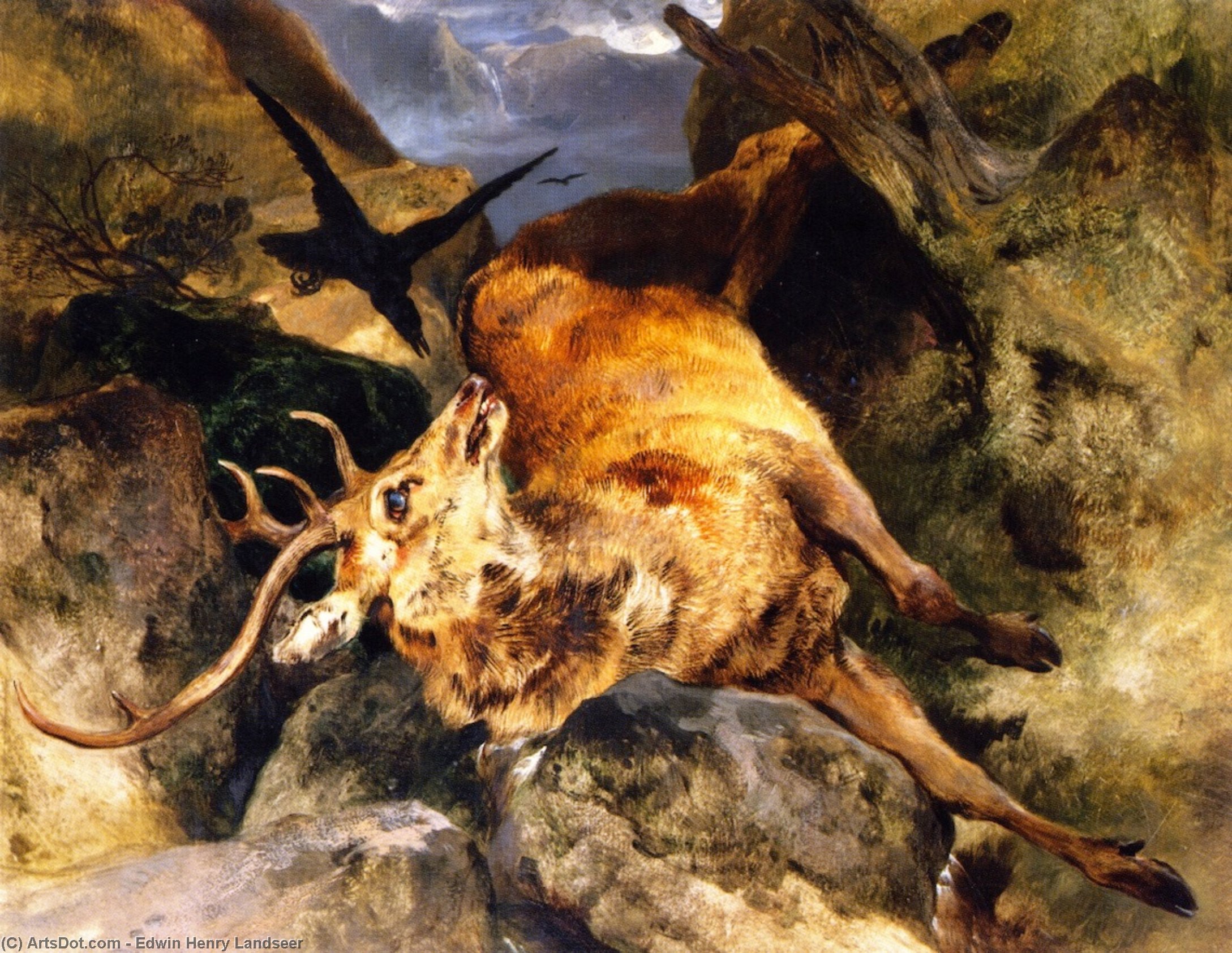 A Deer Fallen From A Precipice — Sir Edwin Henry Landseer
