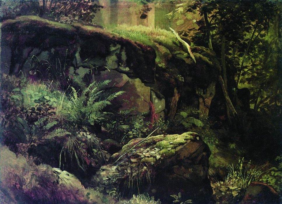 Stones In The Forest. Valaam — Ivan Ivanovich Shishkin